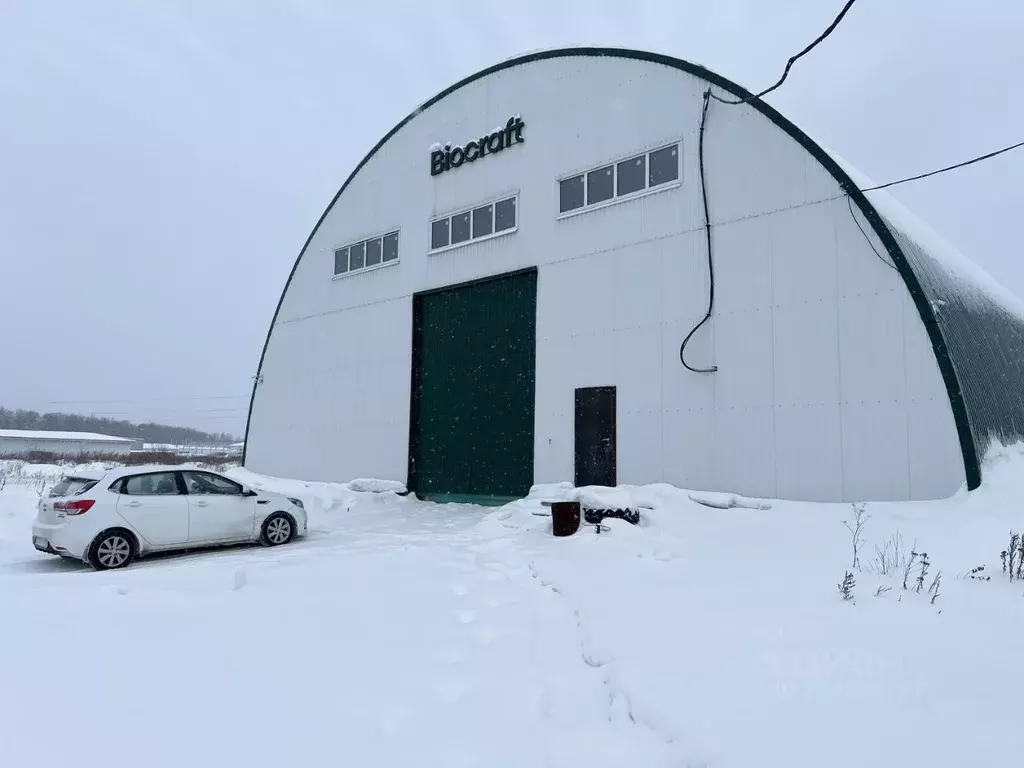 Помещение свободного назначения в Свердловская область, Белоярский ... - Фото 1