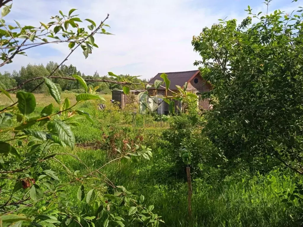 Дом в Псковская область, Локнянский муниципальный округ, д. Старостино ... - Фото 1