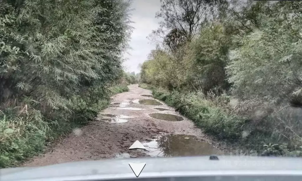 Участок в Московская область, Дмитровский муниципальный округ, Пион ... - Фото 0