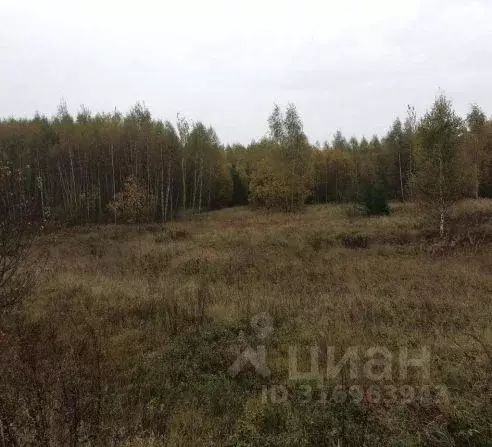Участок в Московская область, Дмитровский муниципальный округ, д. ... - Фото 0