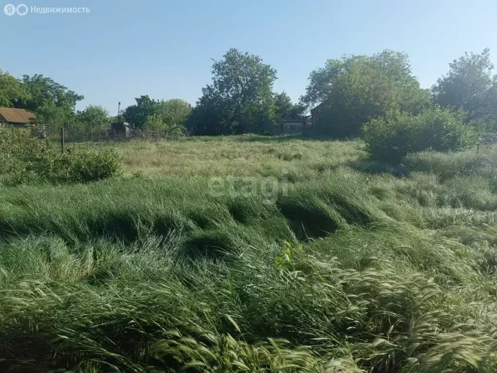 Участок в Неклиновский район, Новобессергеневское сельское поселение, ... - Фото 0