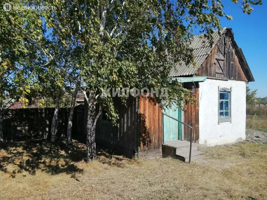 Дом в село Чернокурья, Центральная (35.8 м), Купить дом Чернокурья,  Карасукский район, ID объекта - 50010712400