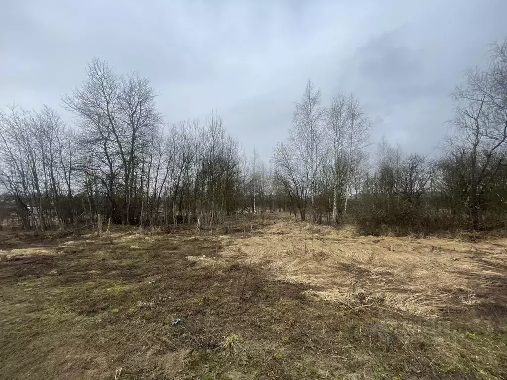 Участок в Московская область, Сергиево-Посадский городской округ, д. ... - Фото 1