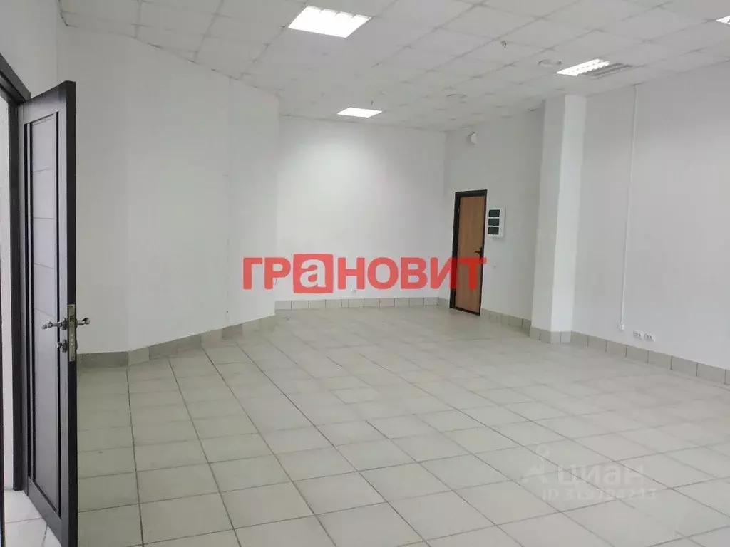Офис в Новосибирская область, Новосибирск ул. Ленина, 21/1к2 (85 м) - Фото 1