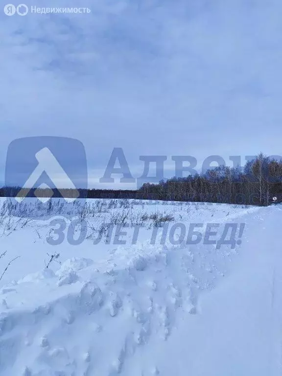 Участок в Тюменский муниципальный округ, деревня Якуши, переулок ... - Фото 2