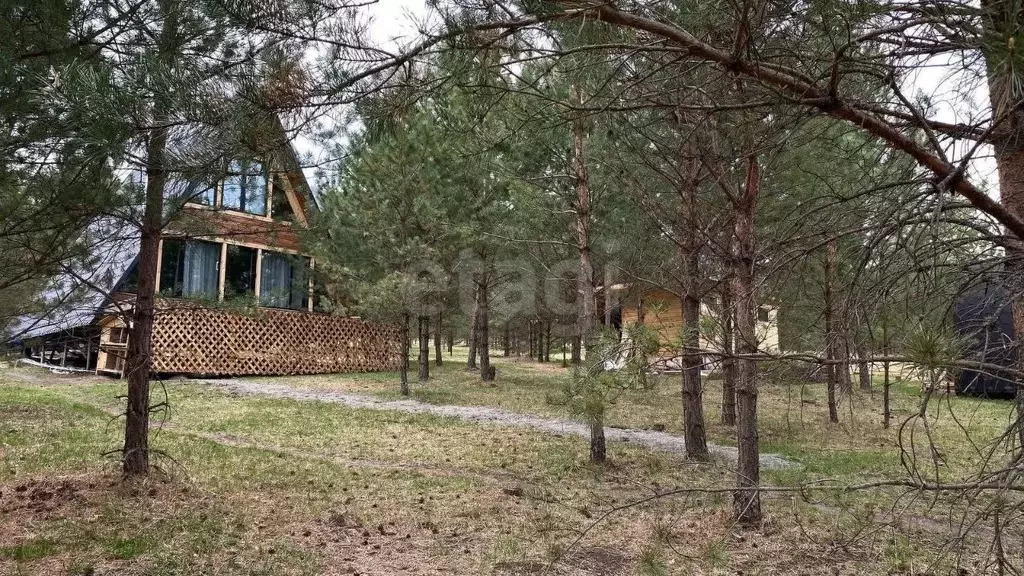 Дом в Алтай, Чемальский район, Элекмонарское с/пос, с. Элекмонар ул. ... - Фото 1