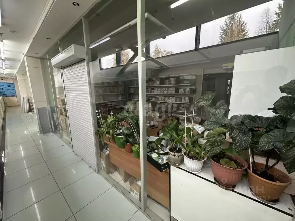 Офис в Ямало-Ненецкий АО, Новый Уренгой Юбилейная ул., 5 (27 м) - Фото 2