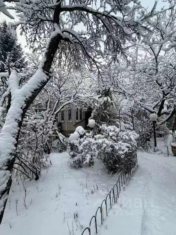 Дом в Москва д. Чириково, ул. 1-й Автопарк, 5 (140 м) - Фото 2