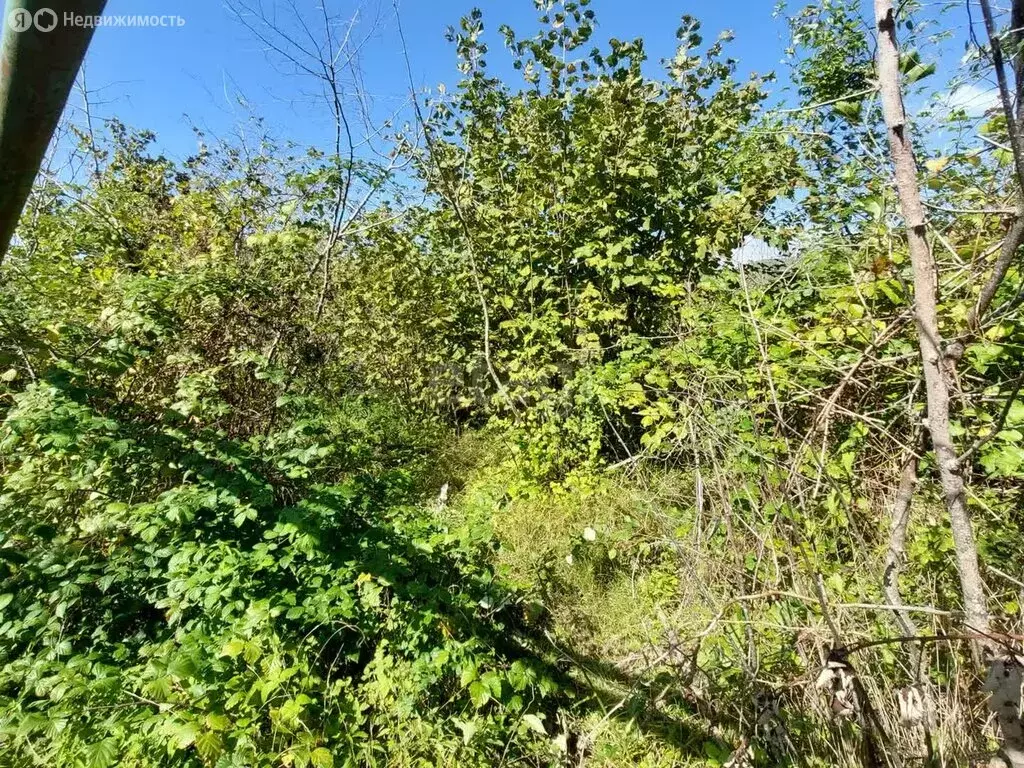 Участок в Краснодарский край, городской округ Сочи, аул Малый Кичмай, ... - Фото 1
