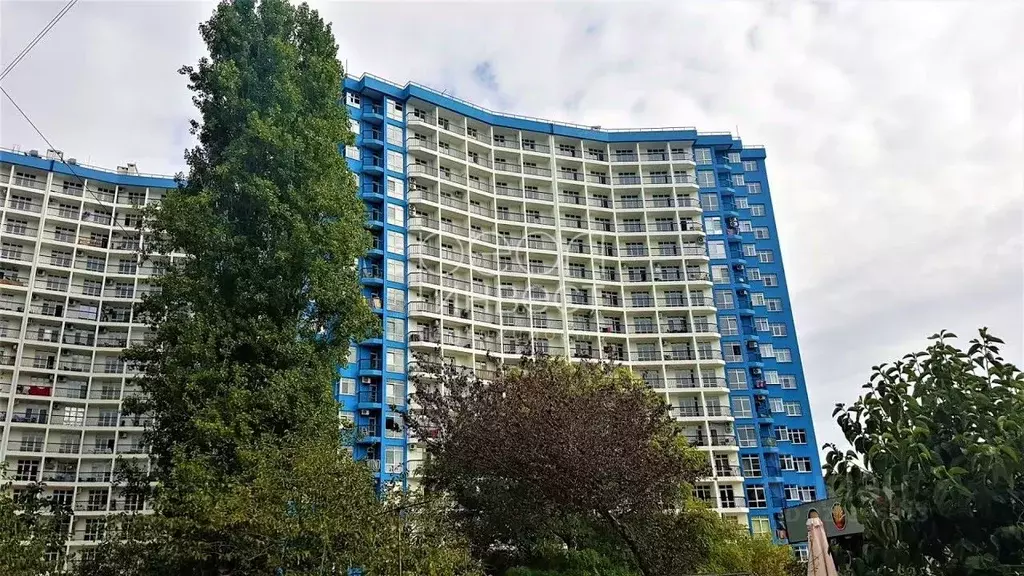 1-к кв. Краснодарский край, Сочи городской округ, Дагомыс пгт ул. ... - Фото 1