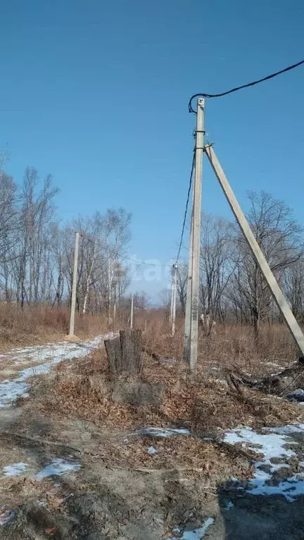 Участок в Приморский край, Надеждинский район, Одуванчик СНТ  (10.0 ... - Фото 0