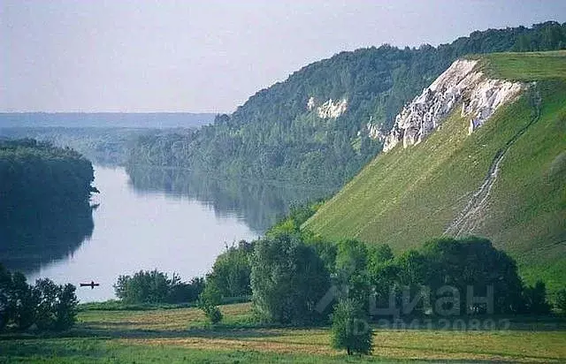 Дом в Воронежская область, Подгоренский район, Белогорьевское с/пос, ... - Фото 0