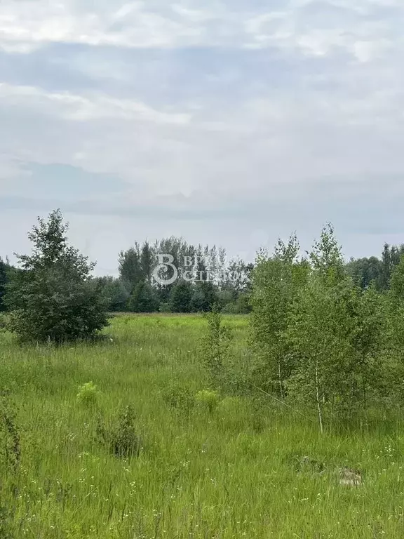 Участок 11,7 сот. (ИЖС) - Фото 0