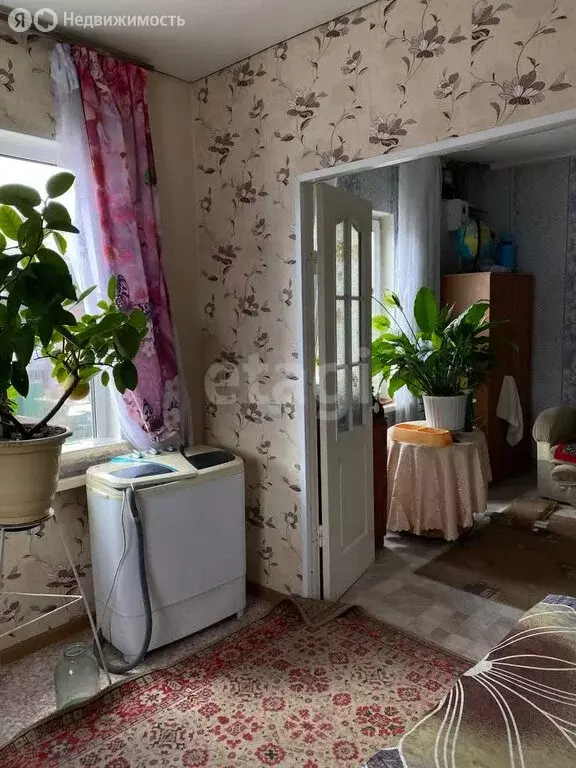 Дом в Гражданка, Центральная улица (39.4 м) - Фото 1