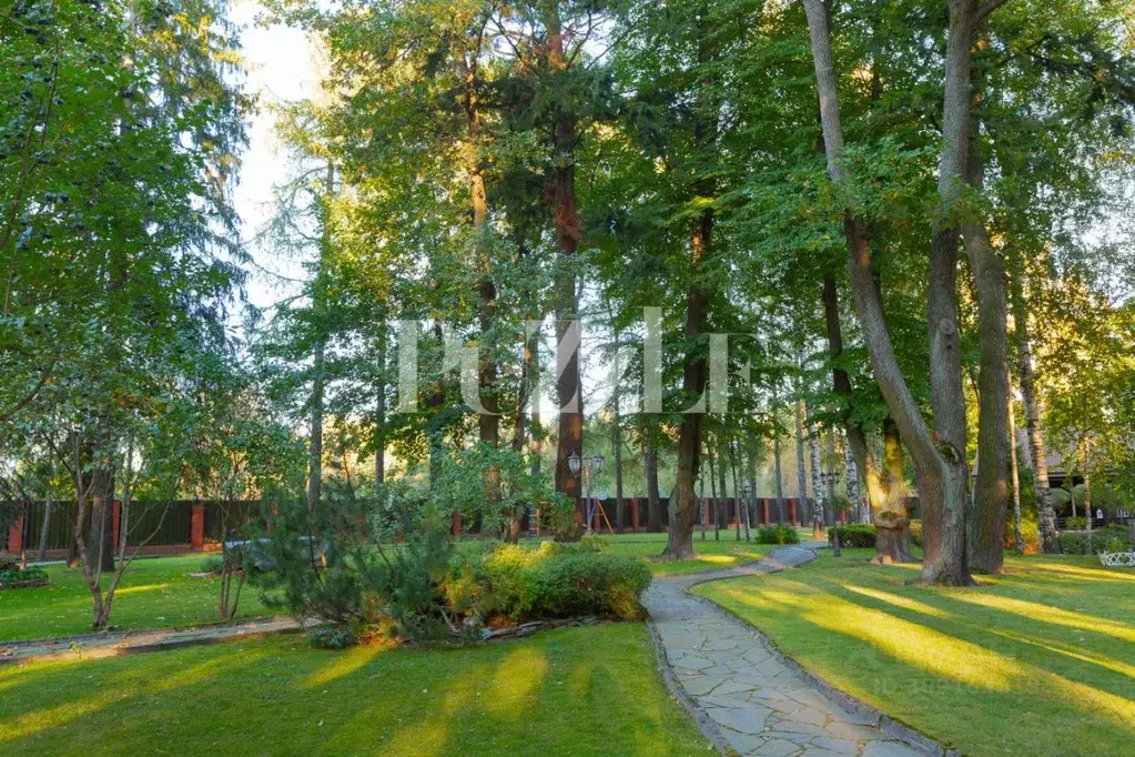 Участок в Санкт-Петербург Ольгино тер., ул. Коммунаров, 7 (69.65 сот.) - Фото 2