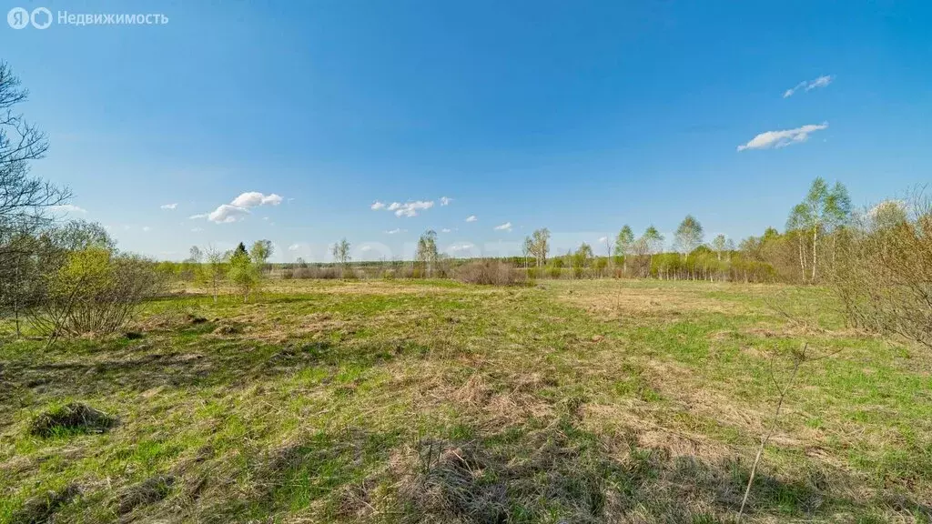 Участок в деревня Шустиково (15 м) - Фото 1