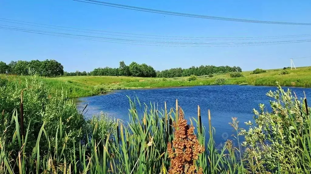Участок в Тульская область, Заокский район, Демидовское с/пос, с. ... - Фото 1