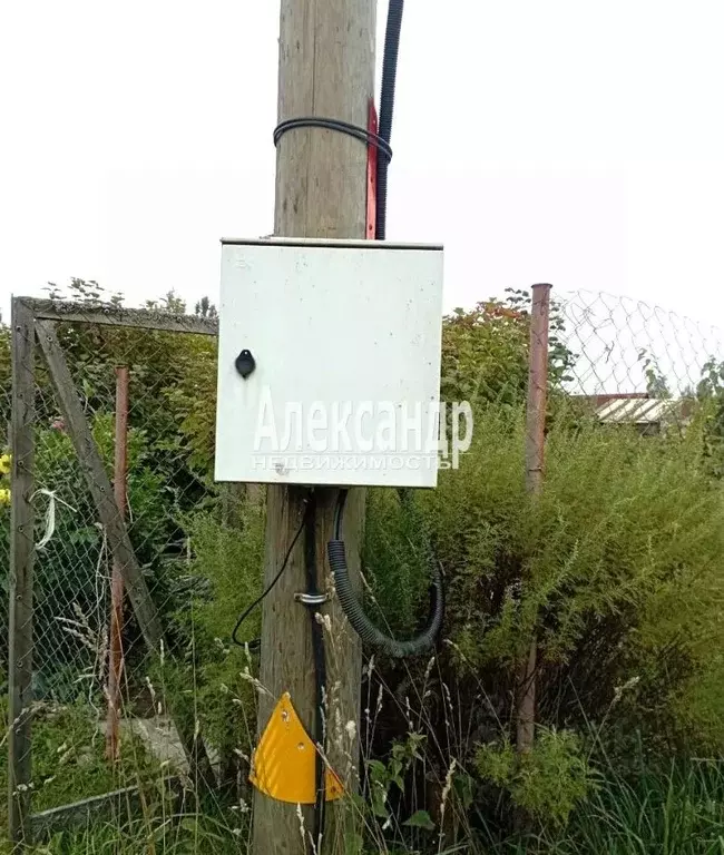 Участок в Ленинградская область, Выборгский район, Каменногорское ... - Фото 2