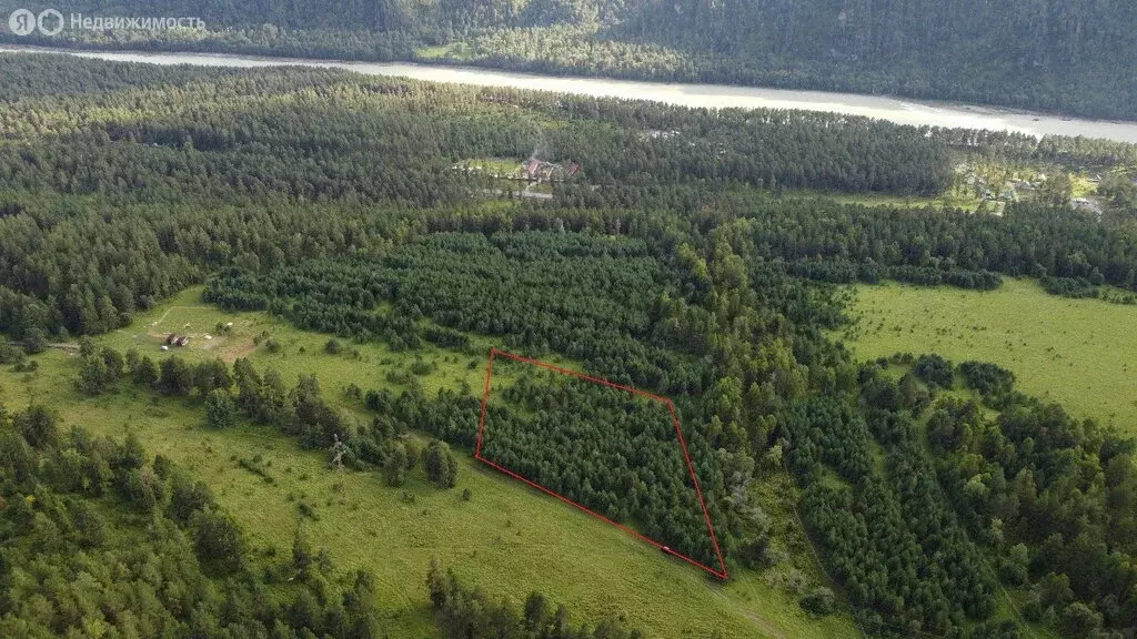 Участок в Чемальский район, село Чепош (1 м) - Фото 1