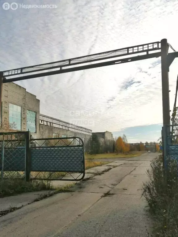 Производственное помещение (17801 м) - Фото 2