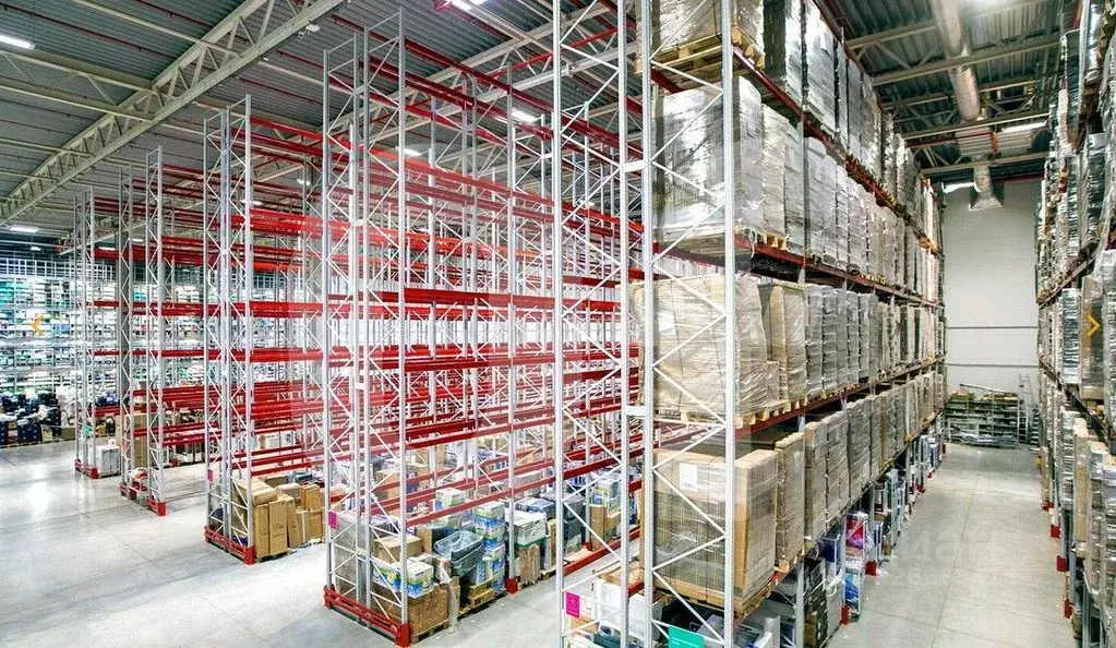 Склад в Московская область, Чехов муниципальный округ, с. Новоселки, ... - Фото 2