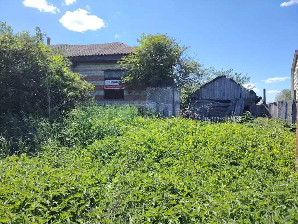 Участок в Воронежская область, Поворинский район, с. Рождественское ... - Фото 1