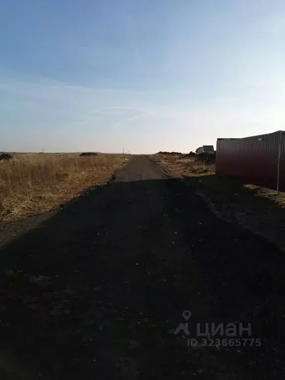 Участок в Московская область, Раменский муниципальный округ, д. ... - Фото 2