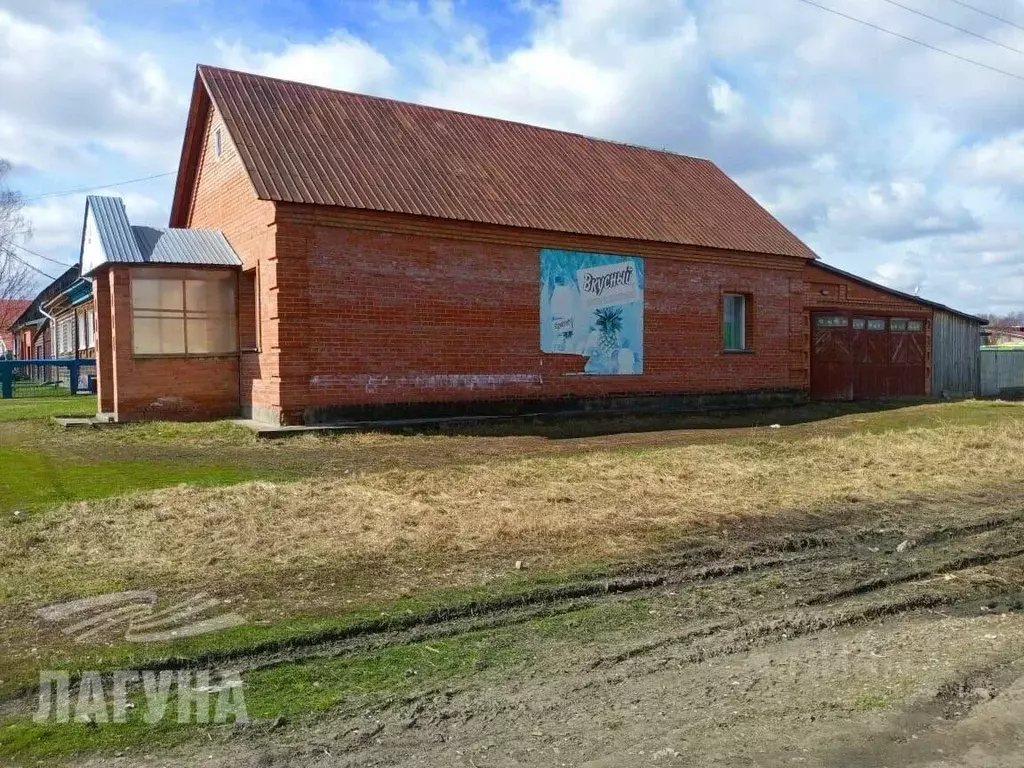 Помещение свободного назначения в Томская область, с. Кожевниково ул. ... - Фото 1