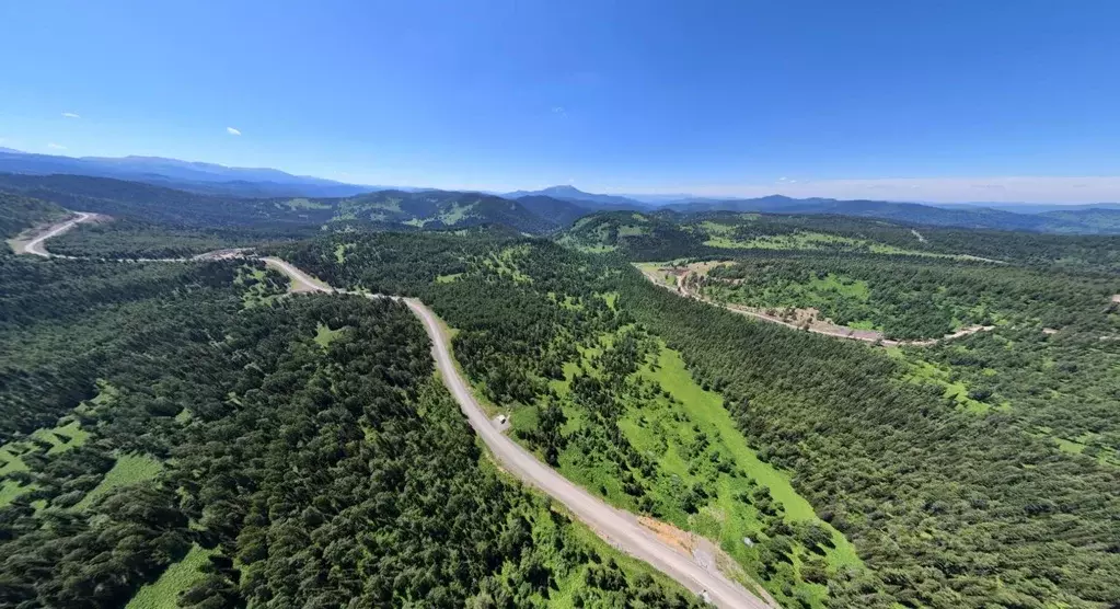 Участок в Алтай, Чемальский район, Узнезинское с/пос  (10.0 сот.) - Фото 1