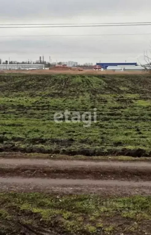 Участок в Ростовская область, Мясниковский район, Краснокрымское ... - Фото 0