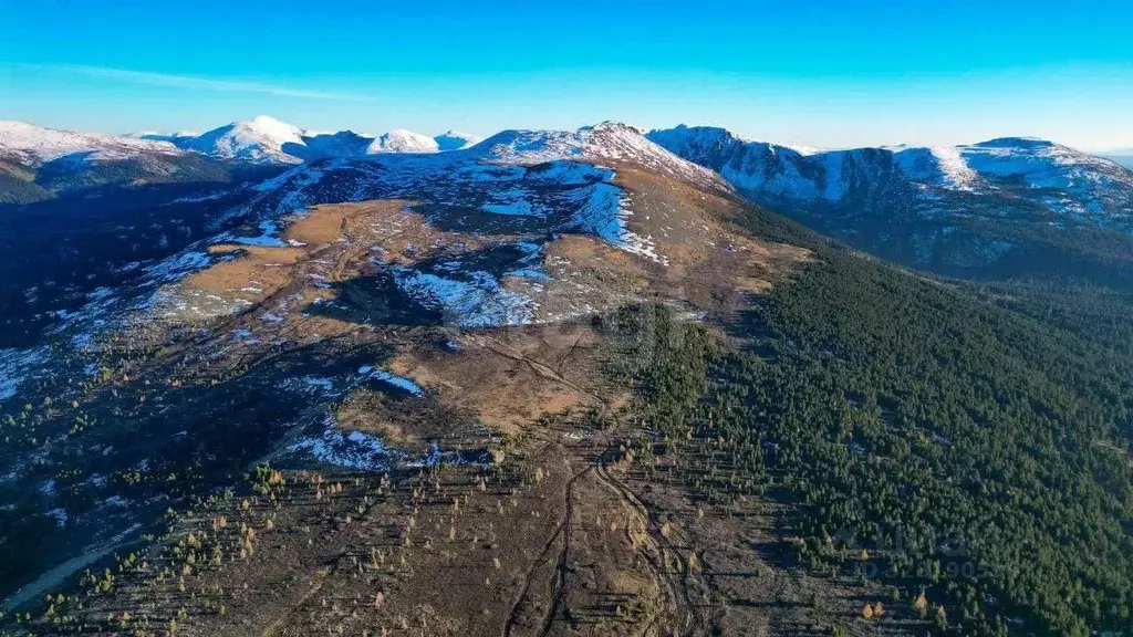Участок в Алтай, Чемальский район, с. Чемал  (100.0 сот.) - Фото 1