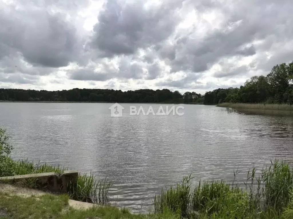 Участок в Калининградская область, Багратионовский муниципальный ... - Фото 0