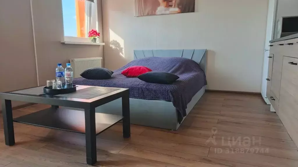 Студия Санкт-Петербург Парашютная ул., 36к1 (28.0 м) - Фото 1