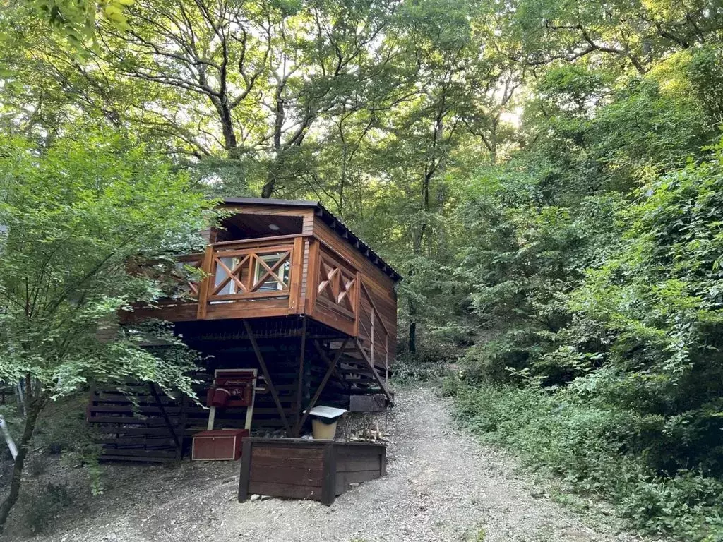 Дом в Краснодарский край, Геленджик городской округ, Бетта хут. ул. ... - Фото 1