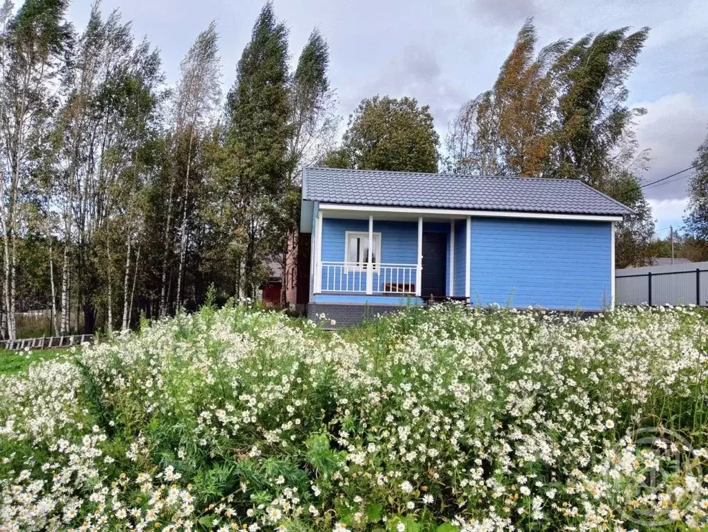 Дом в Ленинградская область, Выборгский район, Рощинское городское ... - Фото 2