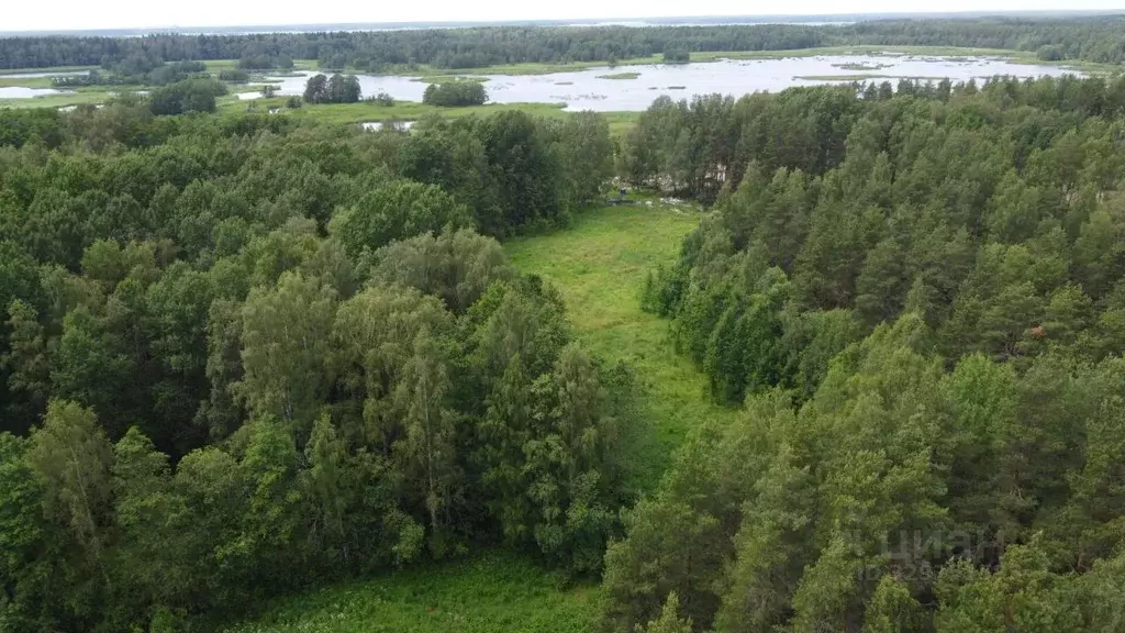 Участок в Ленинградская область, Выборгский район, Советское городское ... - Фото 1