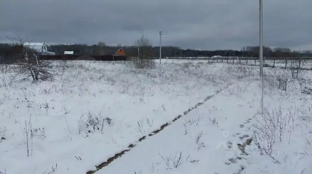 Участок в Псковская область, Палкинская волость, д. Мольгино  (15.0 ... - Фото 2