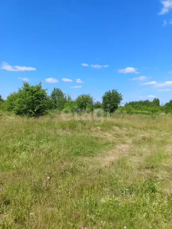 Участок, 10.4 сот., поселения (ижс) - Фото 1