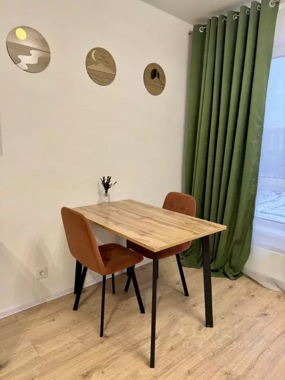 Студия Ленинградская область, Всеволожский район, д. Новое Девяткино ... - Фото 1