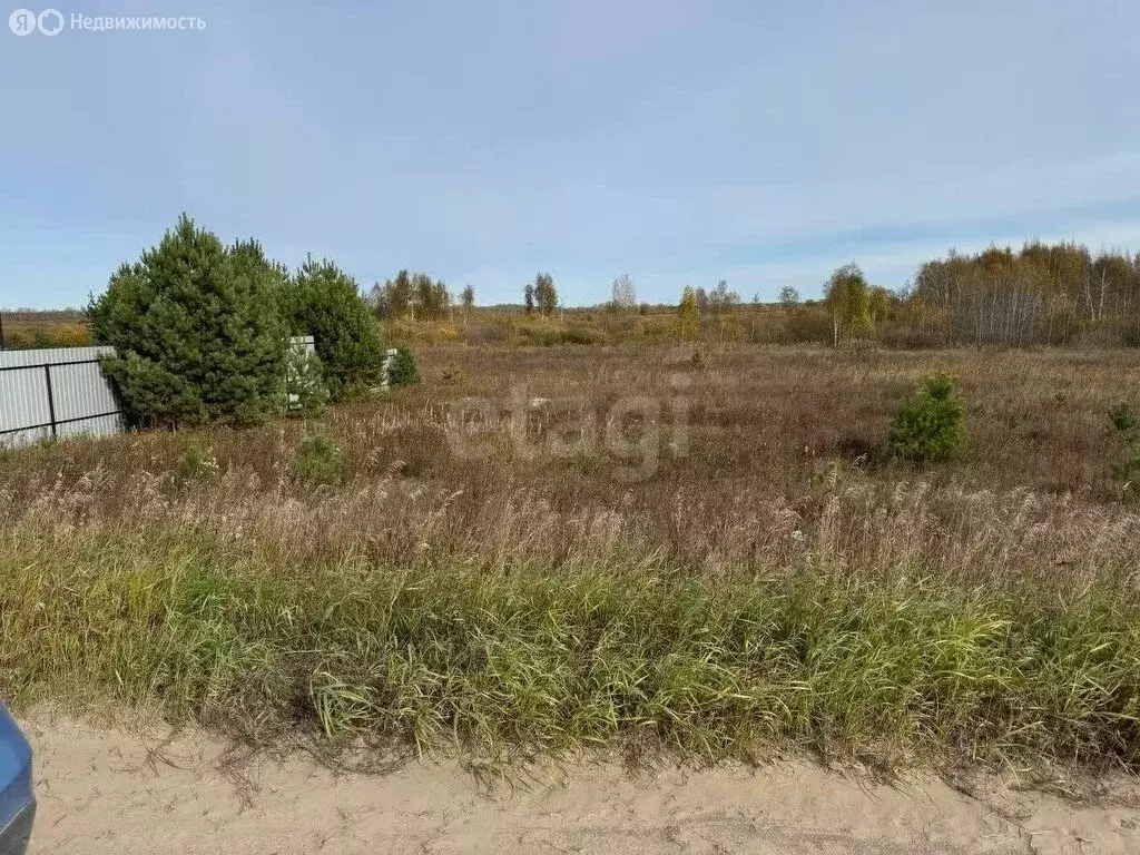 Участок в Тюменский муниципальный округ, деревня Якуши, коттеджный ... - Фото 2