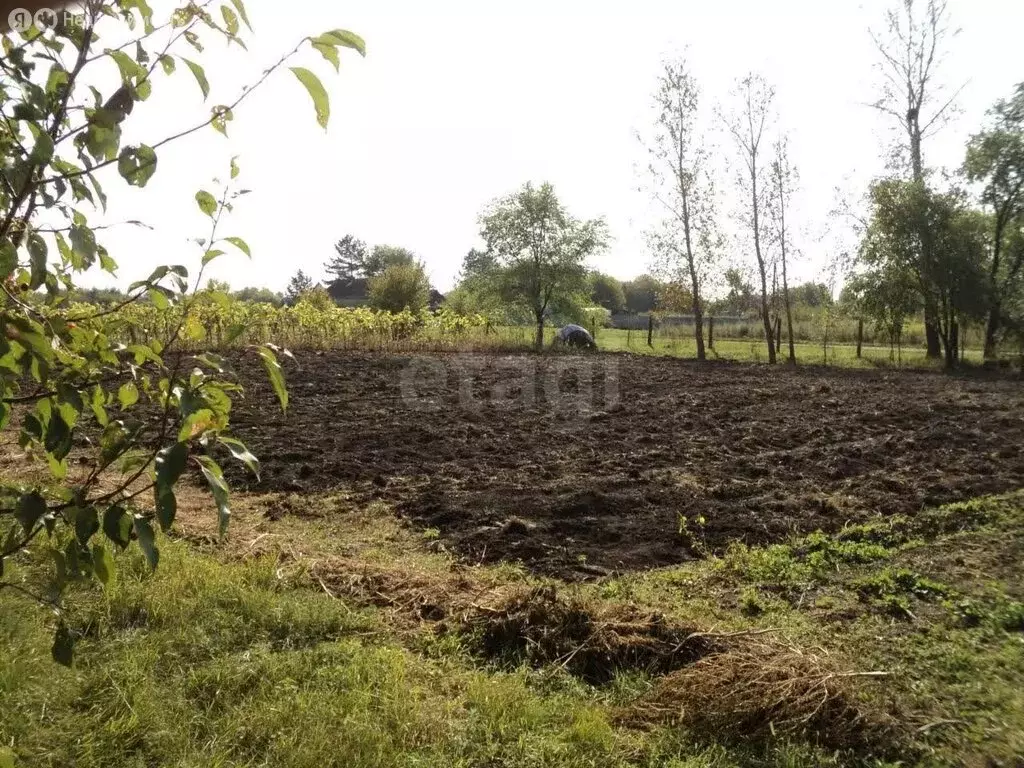 Участок в Амурская область, Тамбовский муниципальный округ, село ... - Фото 2