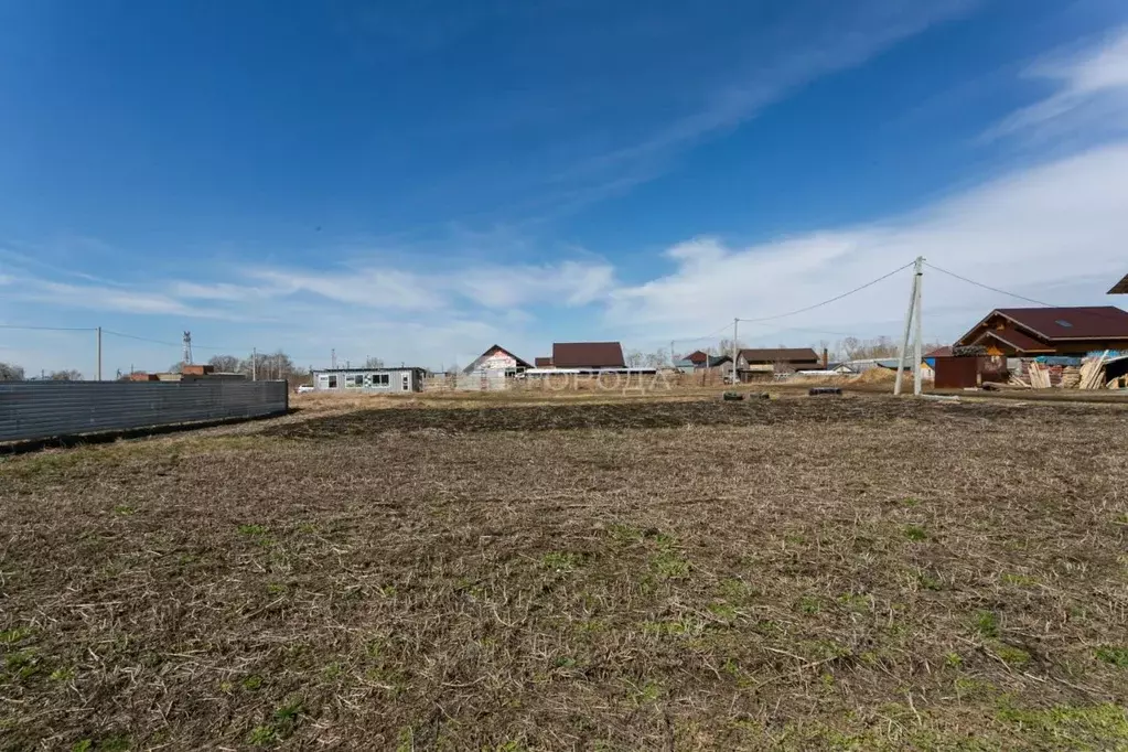 Участок в Новосибирская область, Новосибирский район, Верх-Тулинский ... - Фото 1