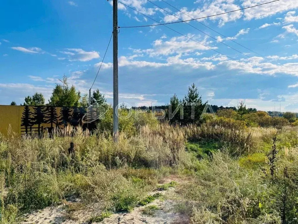 Участок в Тюменская область, Тюменский муниципальный округ, с. ... - Фото 1