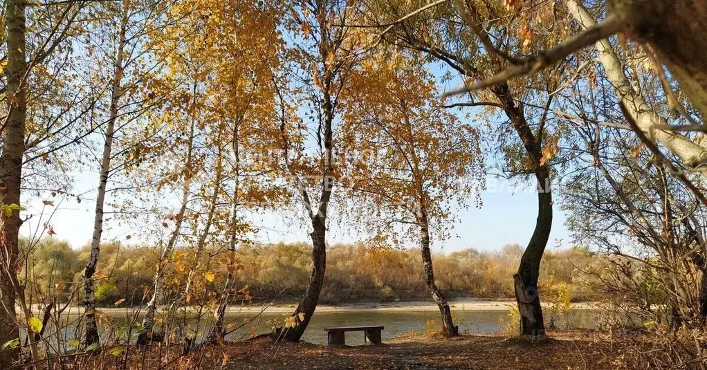 Участок в Рязанская область, Рязань Авангард СТ, 26 (8.0 сот.) - Фото 1