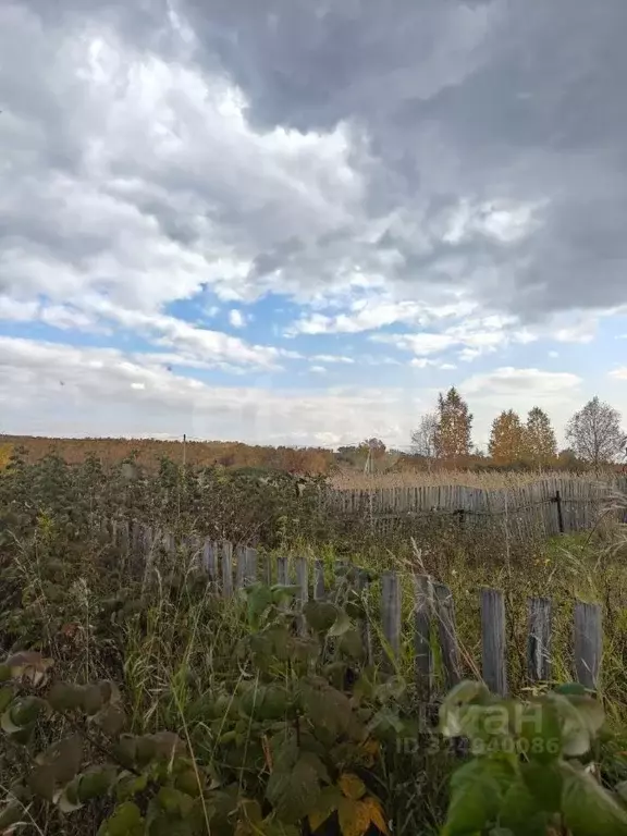 Участок в Красноярский край, Емельяновский муниципальный округ, ... - Фото 1