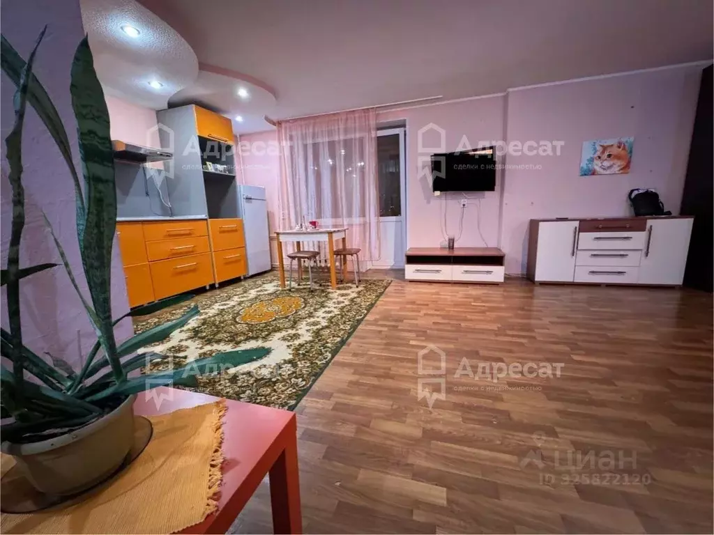 Студия Волгоградская область, Волгоград ул. Богданова, 25 (45.7 м) - Фото 2