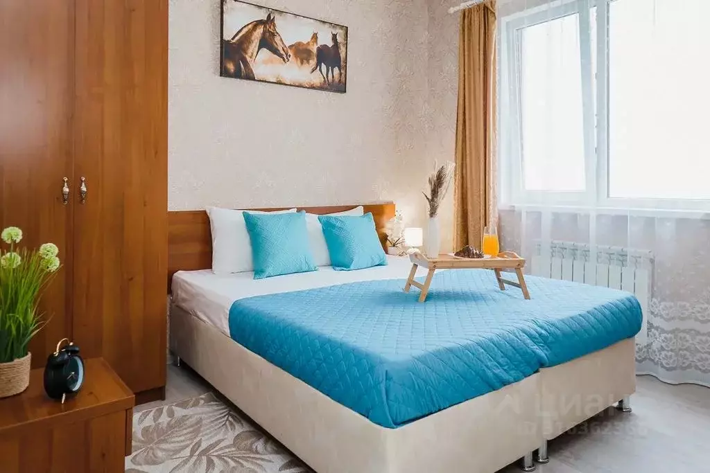 1-к кв. Краснодарский край, Сириус пгт ул. Мзымтинская, 4 (30.0 м) - Фото 1