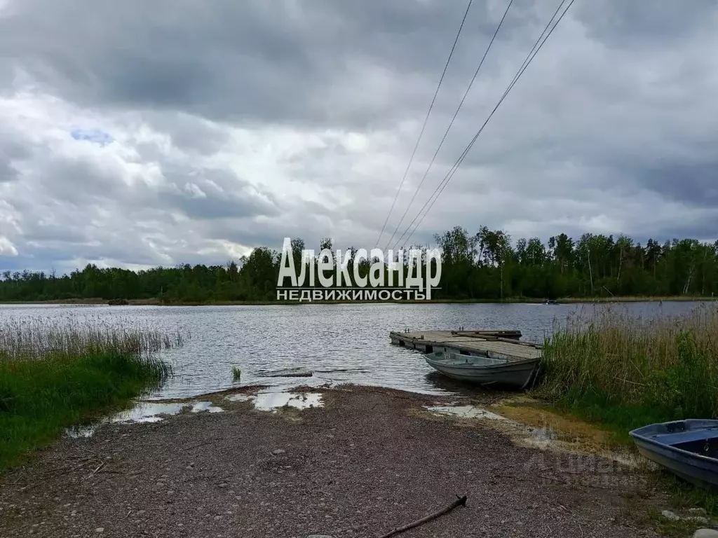 Участок в Ленинградская область, Приозерский район, Ларионовское ... - Фото 1