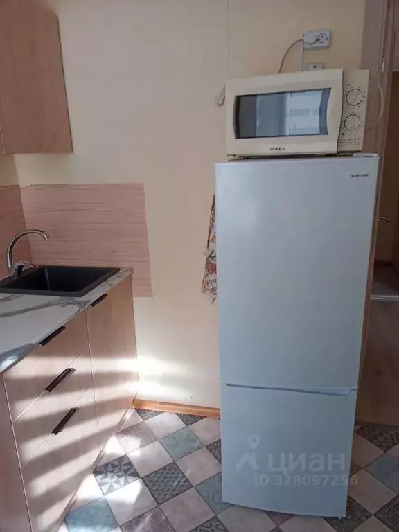 1-к кв. Удмуртия, Ижевск Пушкинская ул., 236 (30.0 м) - Фото 2