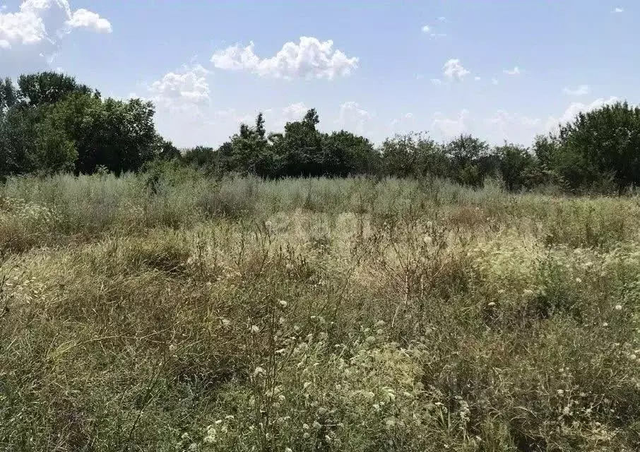 Участок в Ростовская область, Аксайский район, Мишкинская ст-ца  (12.0 ... - Фото 1